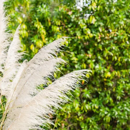 A Casinha 别墅 卡武埃鲁