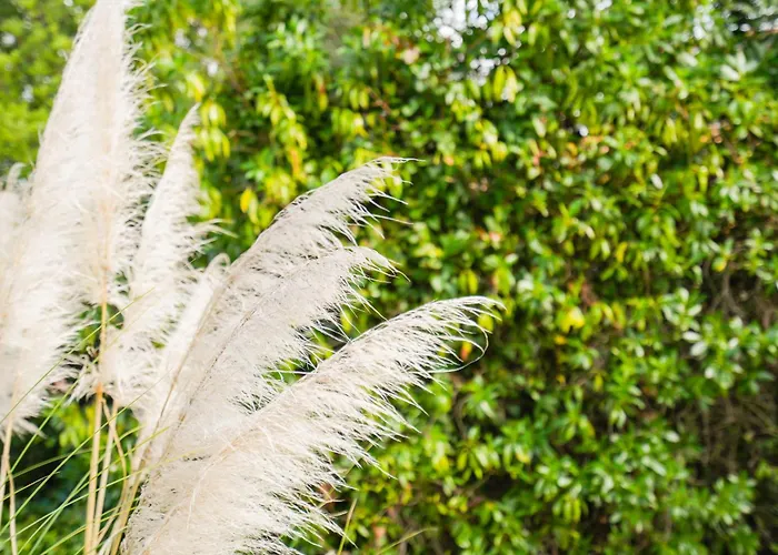 A Casinha Villa Carvoeiro (Lagoa)